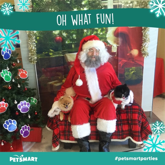 $10 and Under Sale 🍂🍃🍁 - Picture 2 of 3